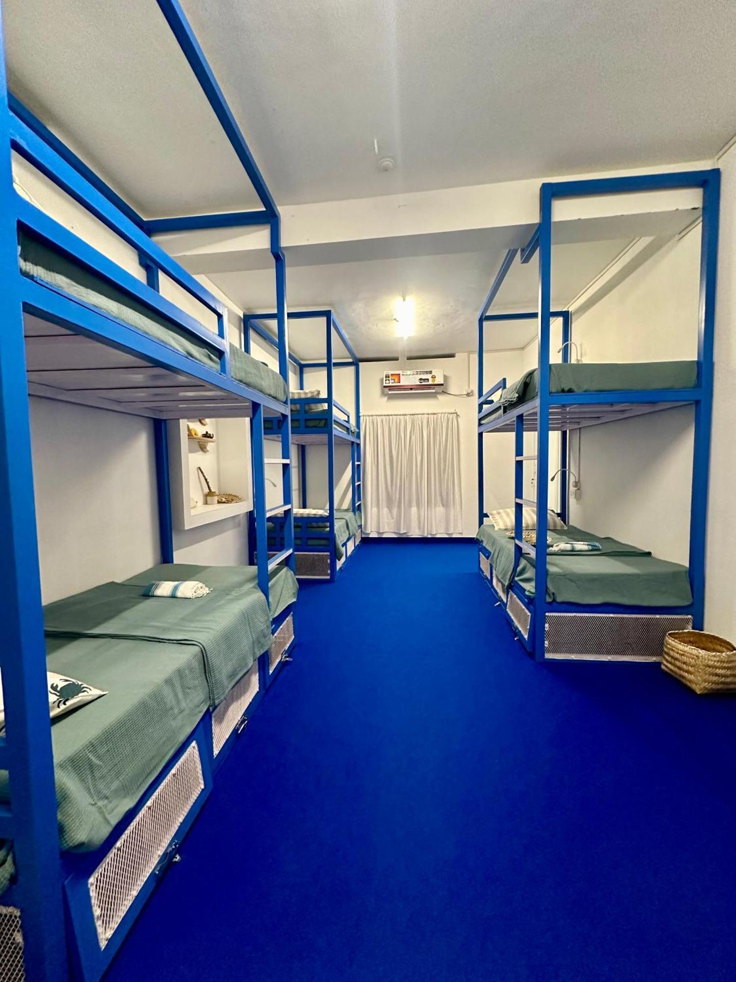 House Of Surf Hostel For Women 瓦尔卡拉 外观 照片