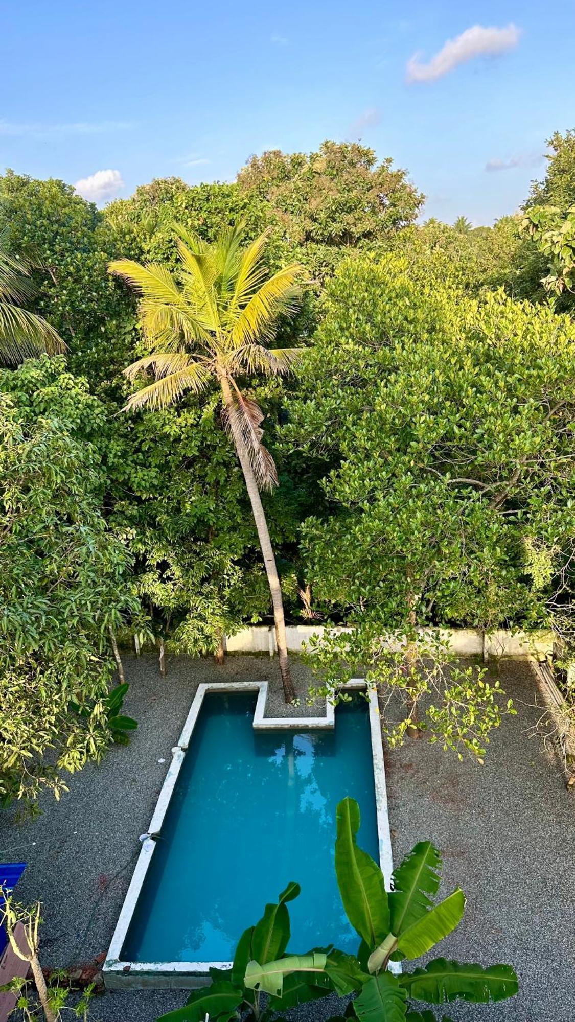 House Of Surf Hostel For Women 瓦尔卡拉 外观 照片